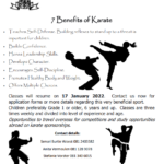 Want to take some Karate classes?